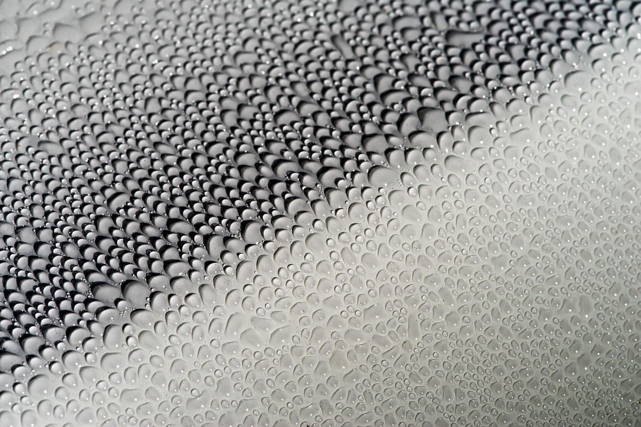 Water beading across a freshly sealed car panel after a thorough hand detail