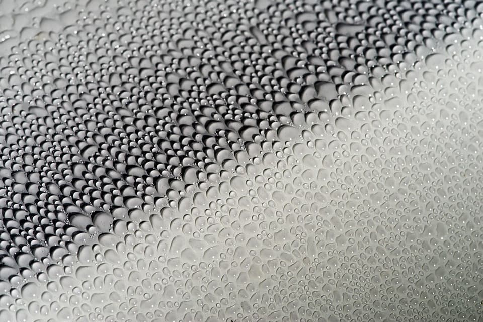 Water beading on a freshly detailed car panel